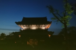 瑞泉寺の藤