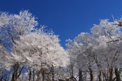 1月のスタイリストのお休み♡