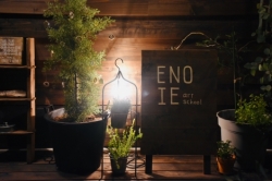 今日の ENO IE