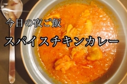 スパイスチキンカレー