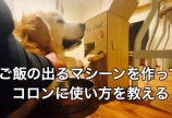 犬用自動餌やり機を作る