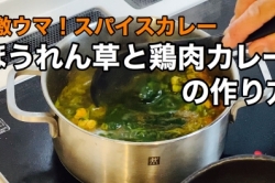 ほうれん草と鶏肉のカレー