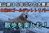 大雪とコロン