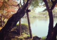 「自撮りの旅」in 兼六園