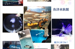 日本一古い☆魚津水族館ϵ( 'Θ' )϶