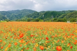 10月のお知らせ🎃🍭👻🌰🍁🍄