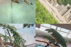 ZOO☆