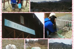 天空の牧場　山之村　&　高山～♪